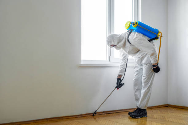 Best Residential Pest Control  in Mankato, MN